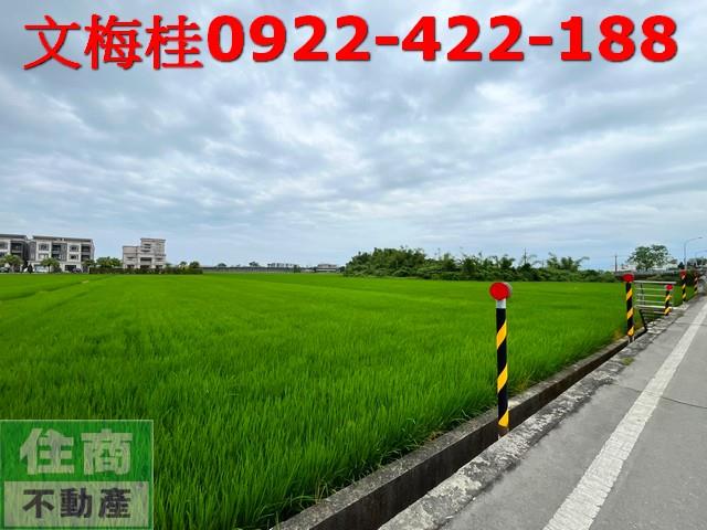 宜蘭宜蘭市農地-0