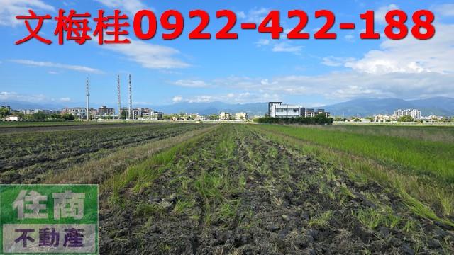 宜蘭宜蘭市農地-0