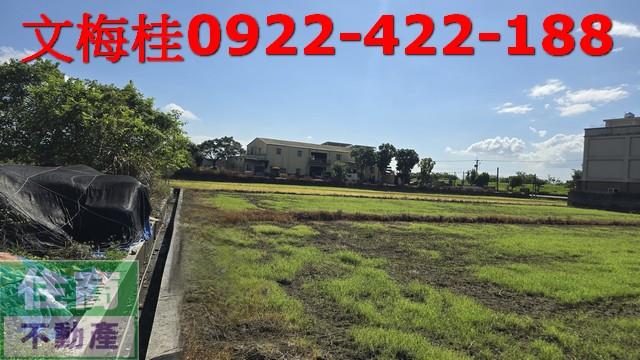 宜蘭宜蘭市農地-1