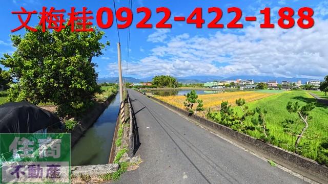 宜蘭宜蘭市農地-3