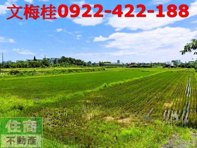 宜蘭宜蘭市農地-1