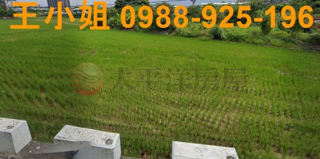 桃園蘆竹農地-7