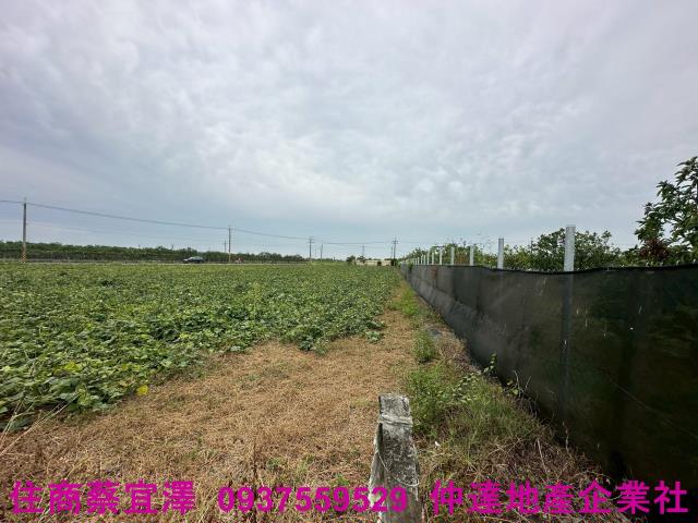 台南麻豆農地-3