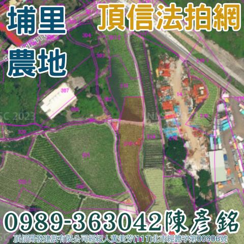 埔里農地法拍-3