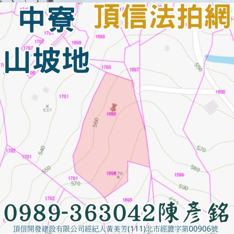 南投農地法拍-2