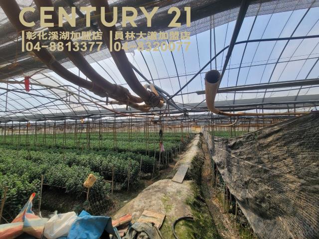 彰化田尾農地-1