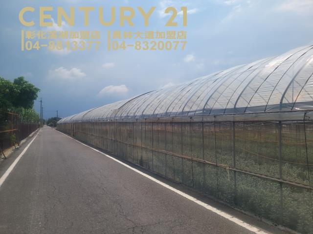 彰化田尾農地-2