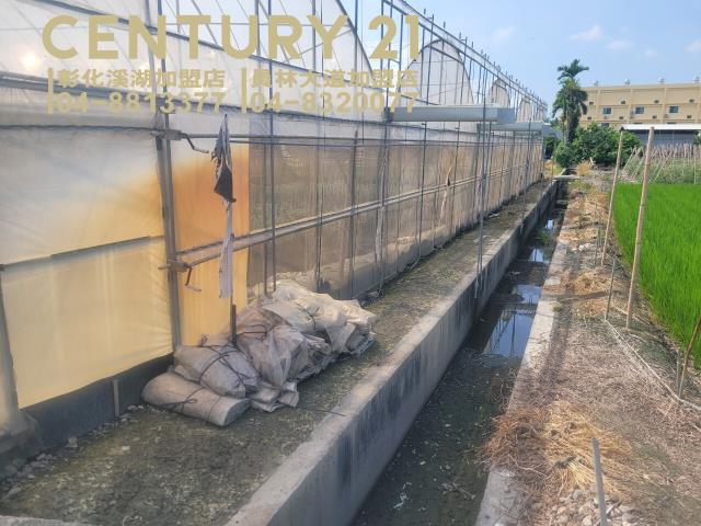 彰化田尾農地-6