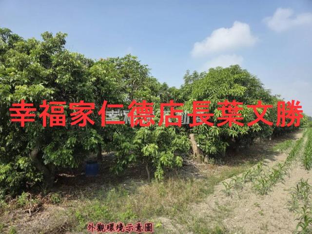 台南安定農地-6