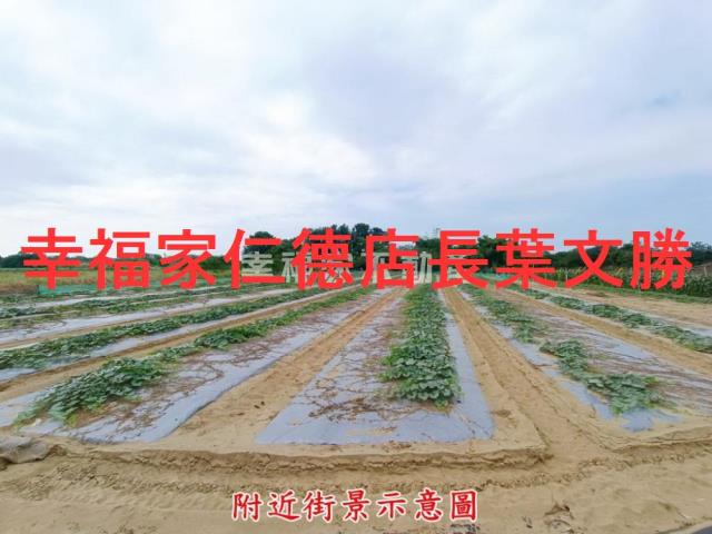 台南官田農地-5