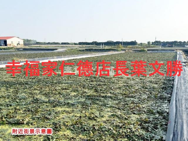 台南官田農地-5