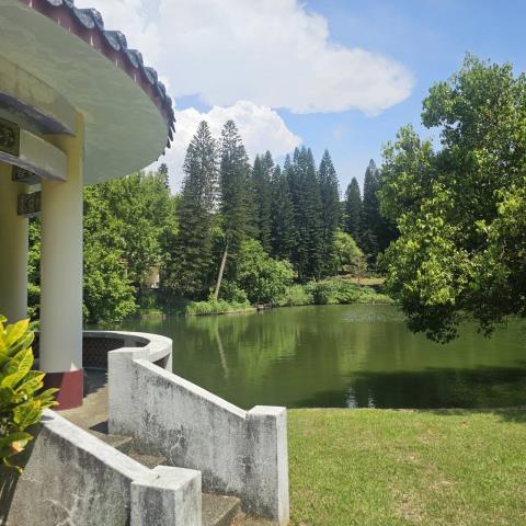 8K538造橋農牧用地