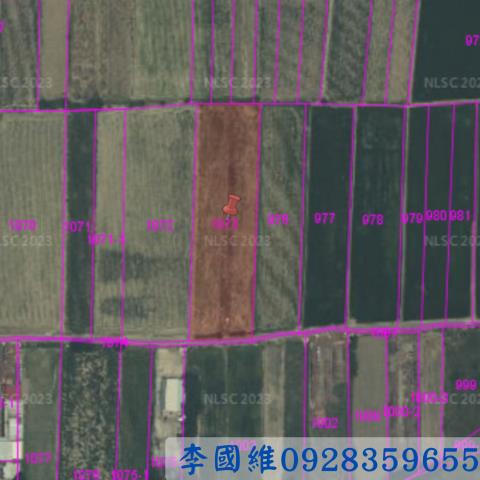 民雄法拍農地-2