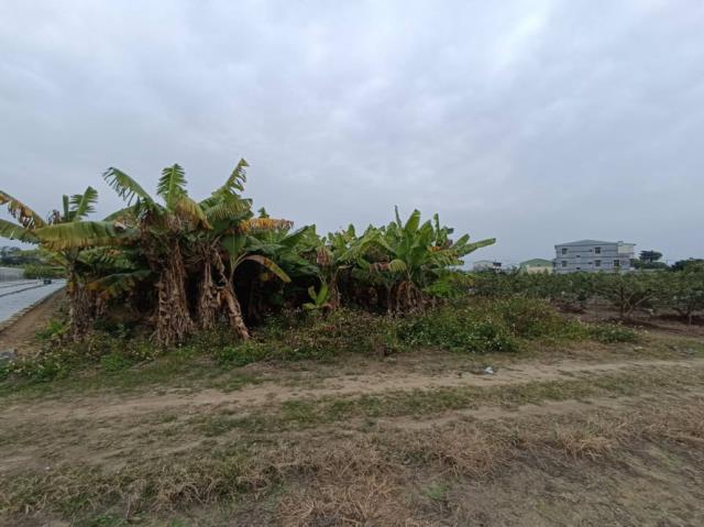 台南玉井農地-1