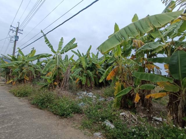 台南玉井農地-4