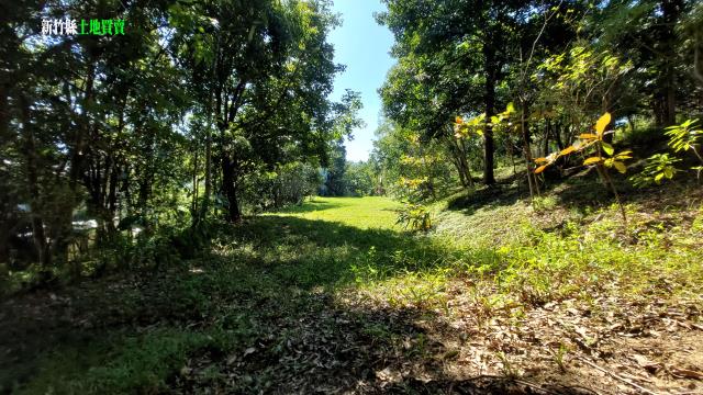 新竹關西農地-2