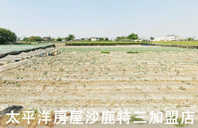 田尾新仁路前庄巷建地出租買賣土地農地田地託售委賣