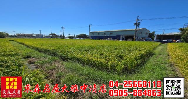 台中神岡農地-4