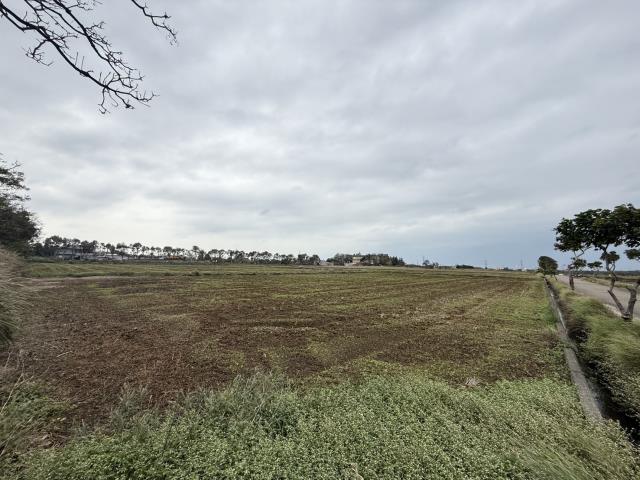 桃園新屋農地-1