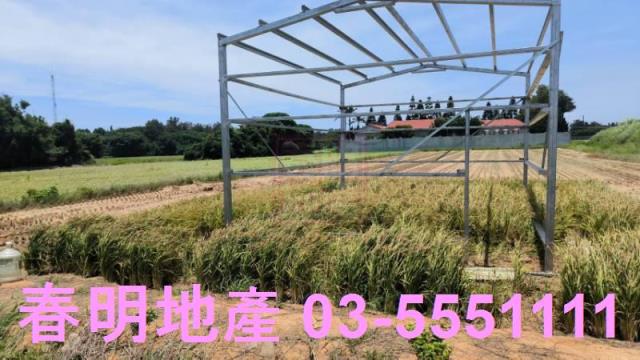 桃園新屋農地-5