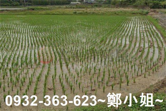 觀音66快速道路邊農地出售