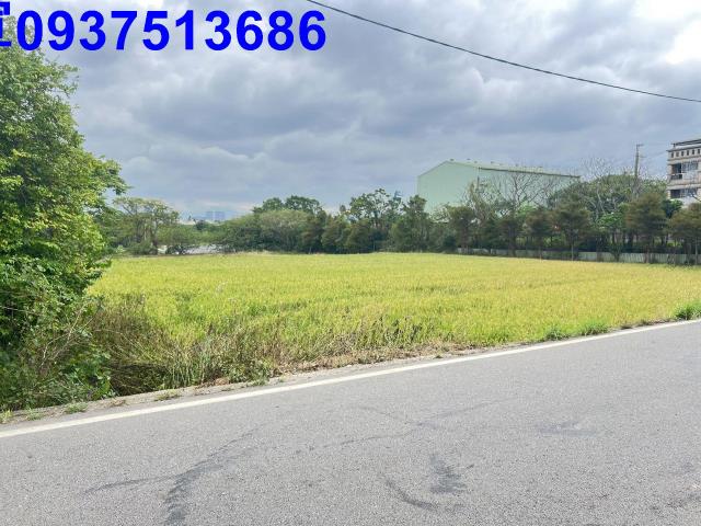 新屋區蚵間國小一般農業區出售1210坪近61快速路全區最低價