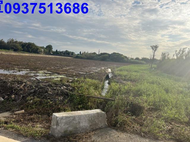 桃園新屋大坡段農地