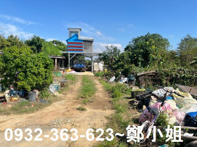 觀音雙面臨路美田