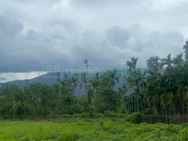 屏東內埔農地-1