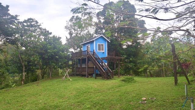 新竹關西農地-1