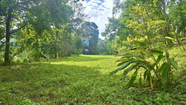 新竹關西農地-3