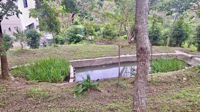 新竹關西農地-4