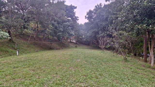 新竹關西農地-5