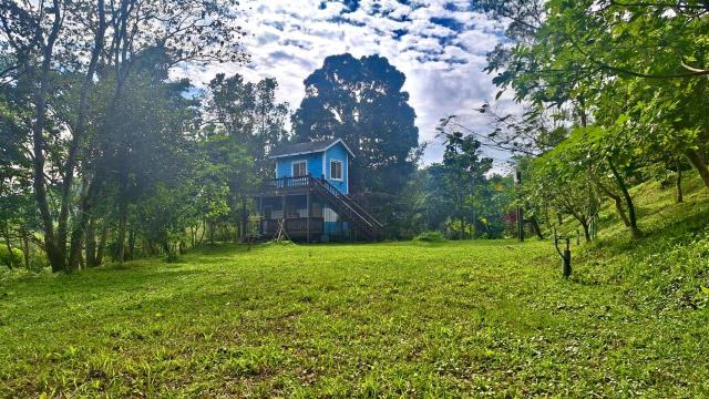 新竹關西農地-7