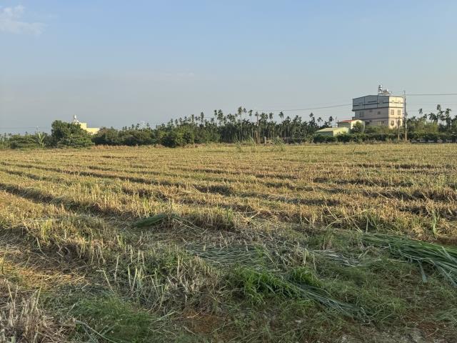 屏東萬丹農地-5