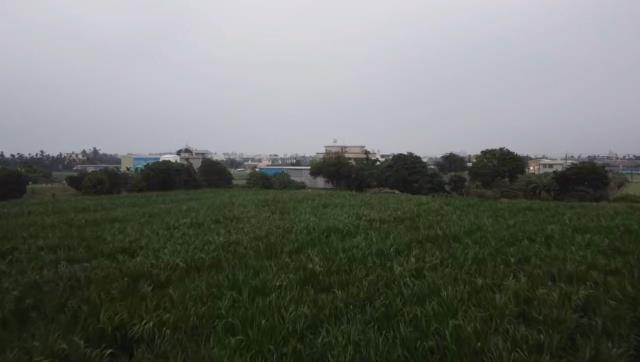 屏東萬丹農地-2