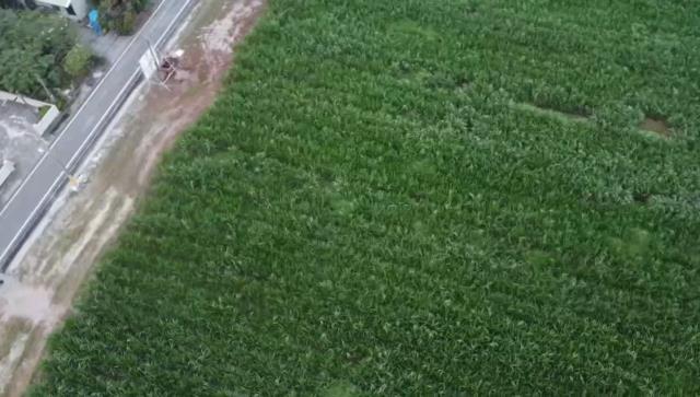 屏東萬丹農地-1