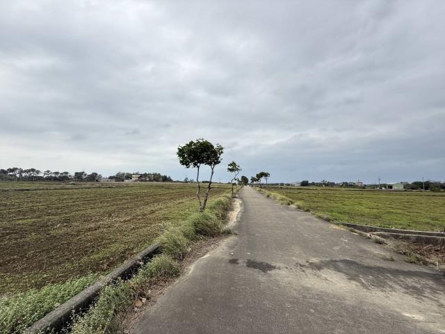 新屋下田心子農地