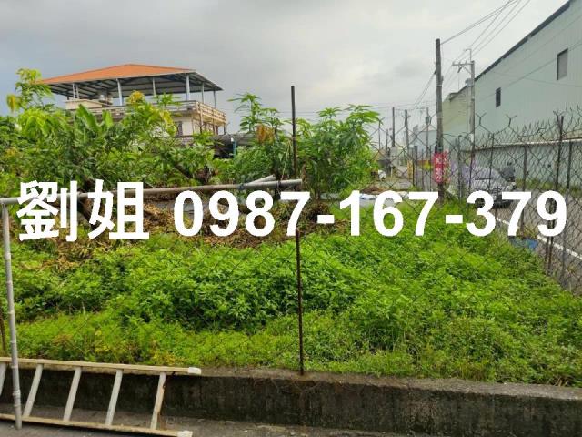 林園潭項農地B
