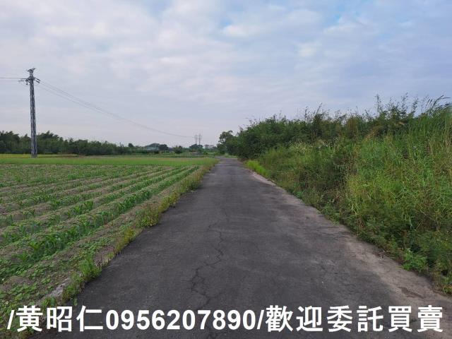 台南農地-5