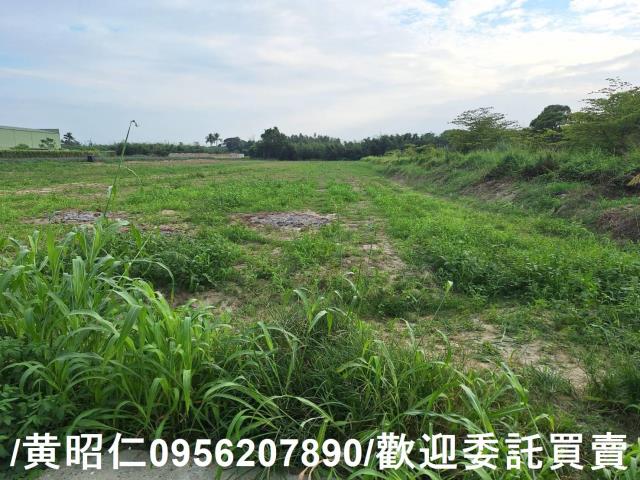 台南農地-0