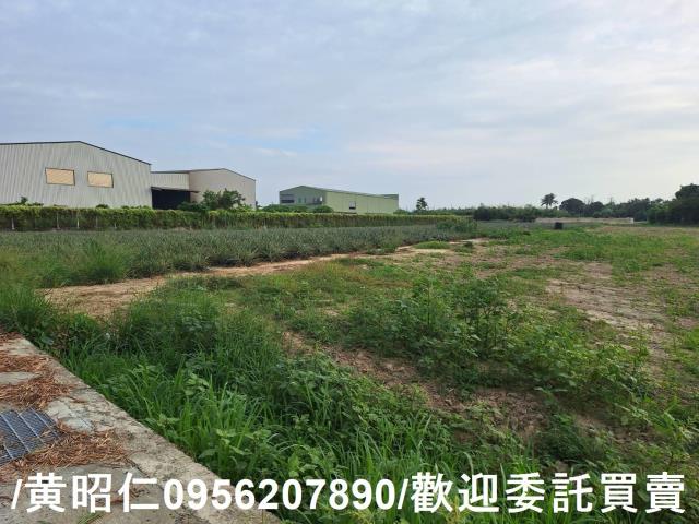 台南農地-4