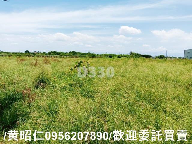 台南安南農地-1