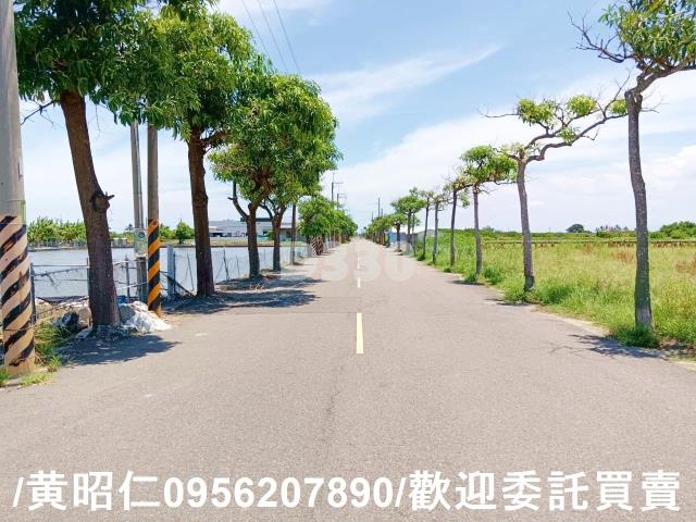 台南安南農地-5