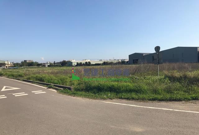 桃園大園農地-2