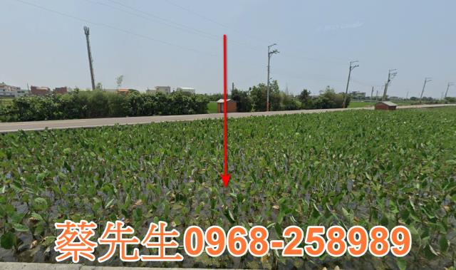 南屯法拍南屯農建地南屯土地