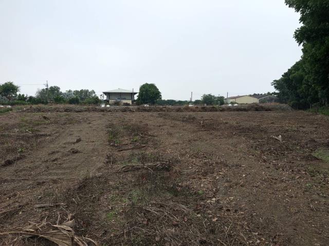 屏東縣新園鄉土地買賣都計農地都農興厝段