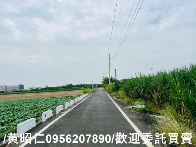 台南善化農地-11