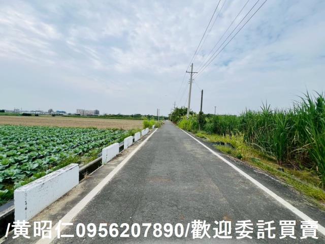 台南善化農地-1