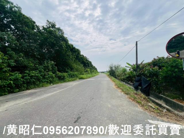 台南善化農地-4